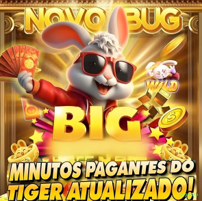 Suporte pgnew